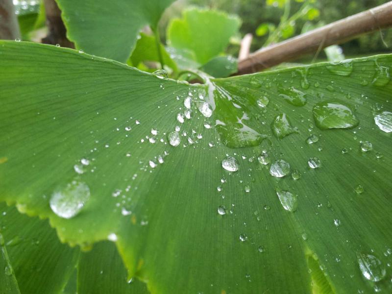 我是传奇<br>qyf5seag.cn 纽约僵尸围城